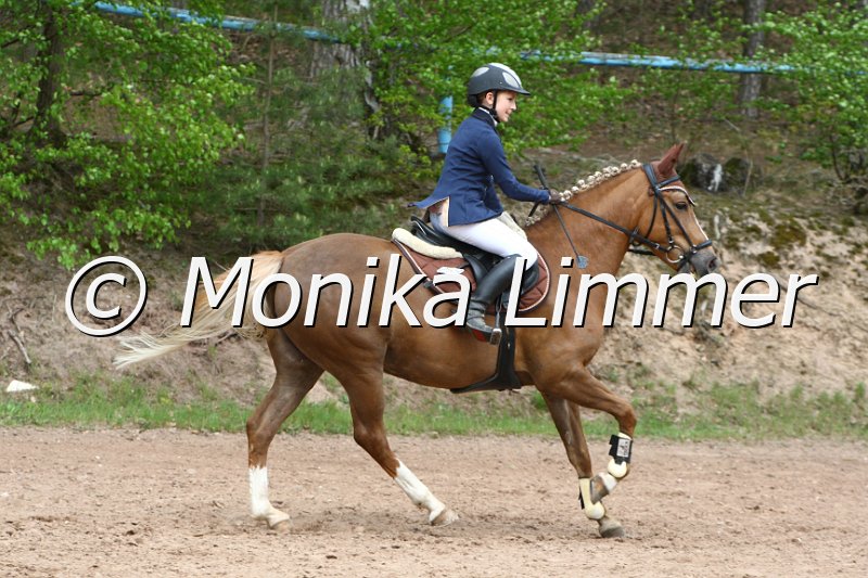 004M2372_Alea_Stilspring WB.JPG